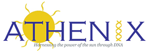 Athenix