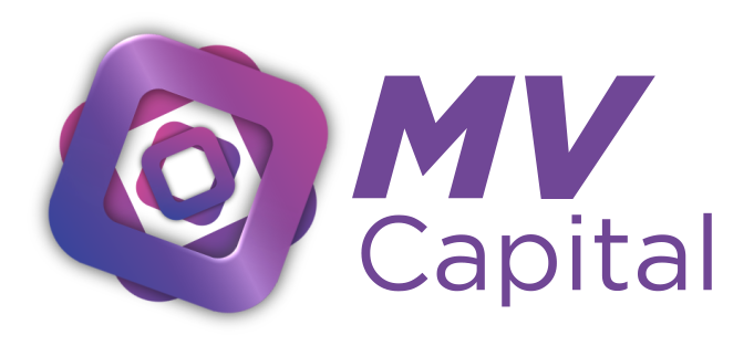 Meta Venture Capital