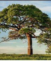 JP's Discount lawn care