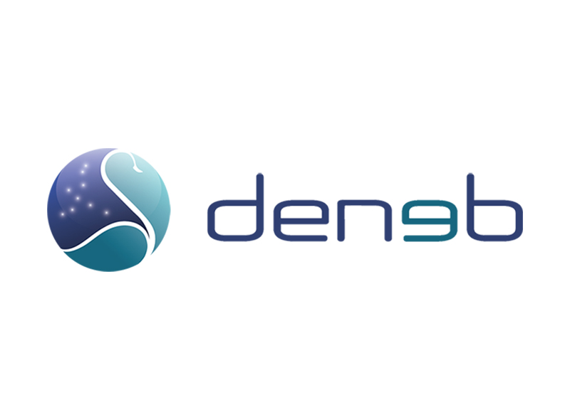 DENEB MEDICAL