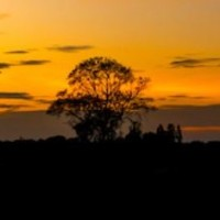 Acacia Research