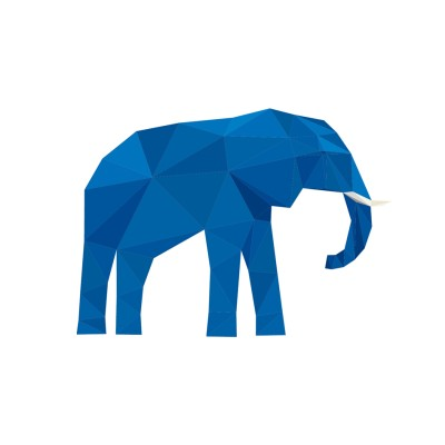 Blue Elephant Energy AG