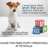 Cause for Paws Dog Training