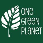 One Green Planet