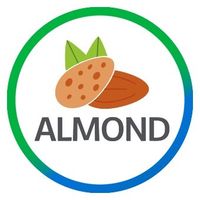 Almond FinTech