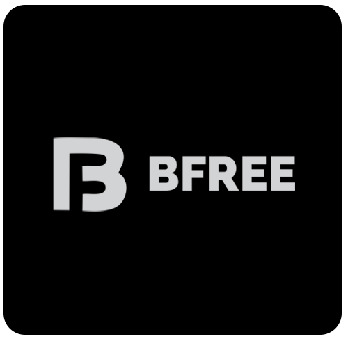 BFree: Get Debt Recovery Options. Recover Faster