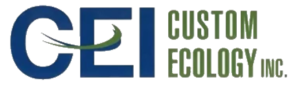 Custom Ecology