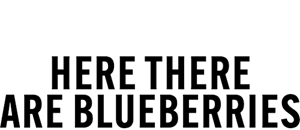 Here There Are Blueberries