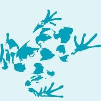 Floating Island International