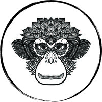 12 Creative Monkeys