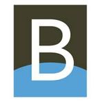 Bridgewell Resources