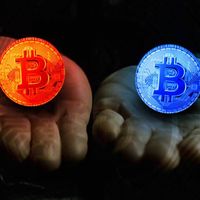 Crypto Insider