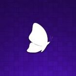 Fluttr. Social Analytics.