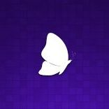 Fluttr. Social Analytics.
