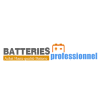 batterieprofessionnel.com