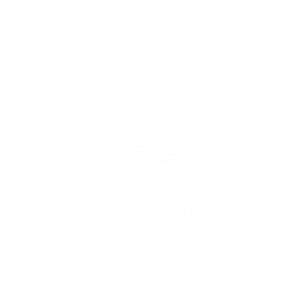 CarbonRun