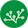 Salvia BioElectronics