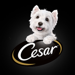 Cesar Canine Cuisine