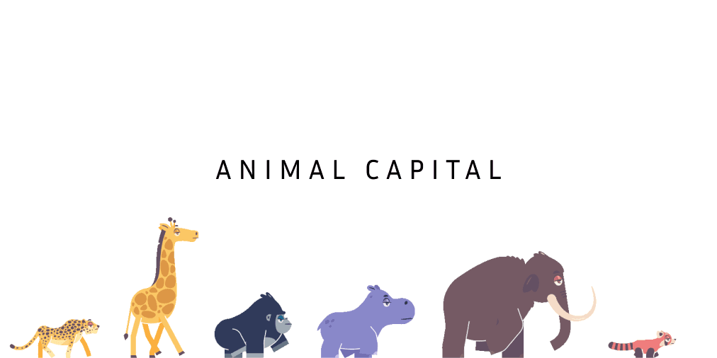 Animal Capital