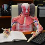 SynDaver Labs
