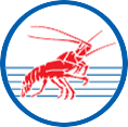 Austmarine
