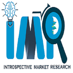 Introspective Market Research