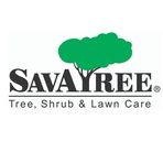 SavATree