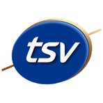 TSV - Transformateurs Solutions Vénissieux