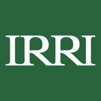 International Rice Research Institute