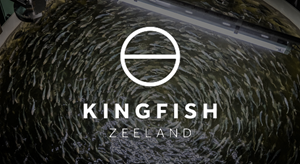Kingfish Zeeland