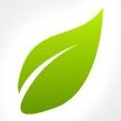 Domain Holdings Group