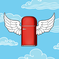 flyfridge