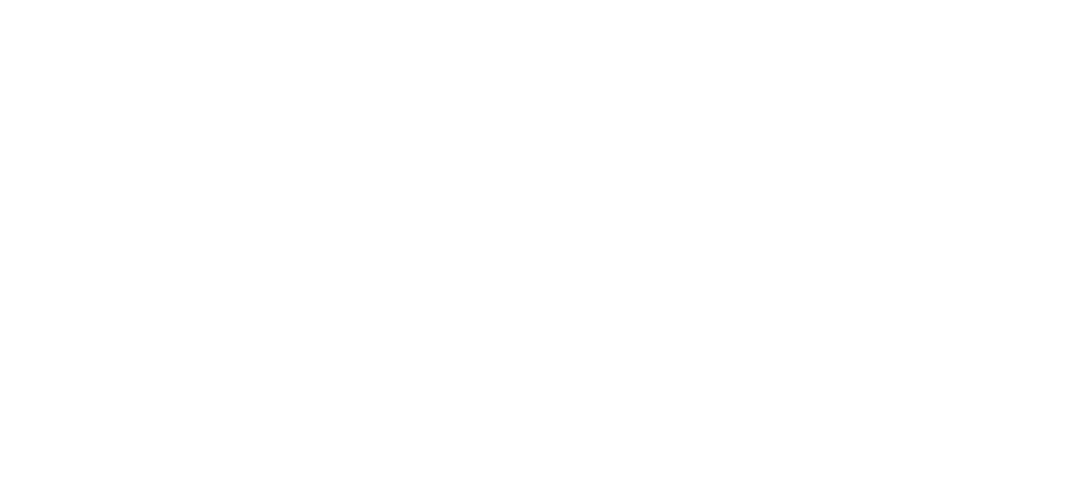 Publifyer