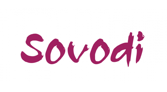 Sovodi.com is for sale