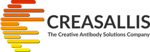 Creasallis