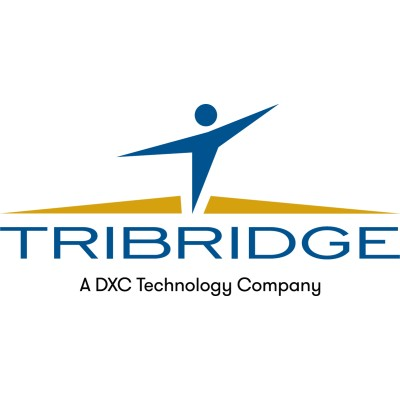Tribridge