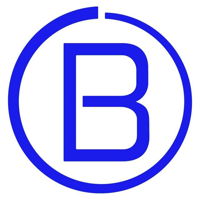 Brave Virtual Worlds