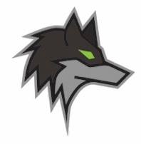 Dark Wolf Solutions