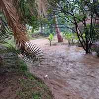 Catalina Lodge and Botanical Gardens Blantyre Malawi