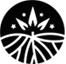 INDIVA