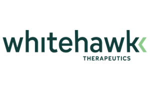 Whitehawk