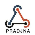 Pradjna Intellisys