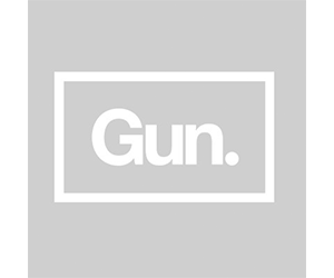 Gun