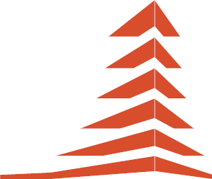 Slaine Holdings
