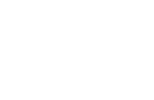 Ravyn Technology Corporation