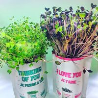 Gift-a-Green