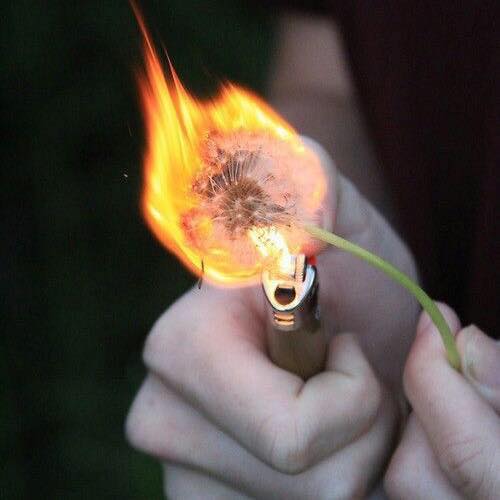 Lighter