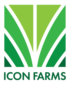 About Icon Farms and Hemp Prerolls