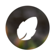 Landscape Designer Sydney