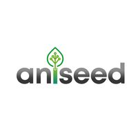 Aniseed